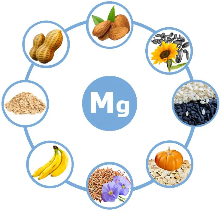 food for magnesium and sleep